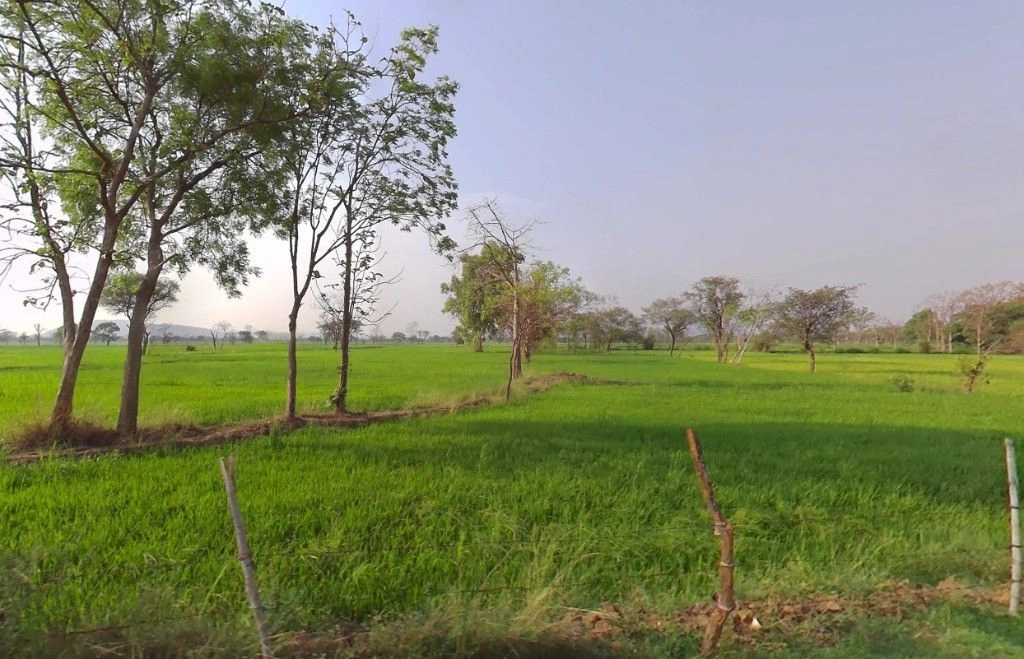 Bhadrali, Chhattisgarh, India preview 3