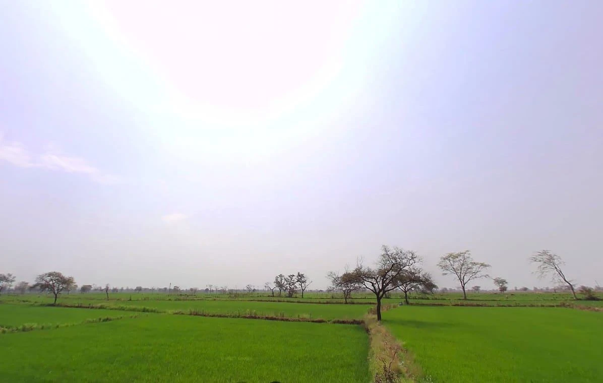 Bemetara, Chhattisgarh 491335, India
