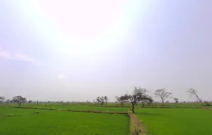 Bemetara, Chhattisgarh 491335, India preview 2