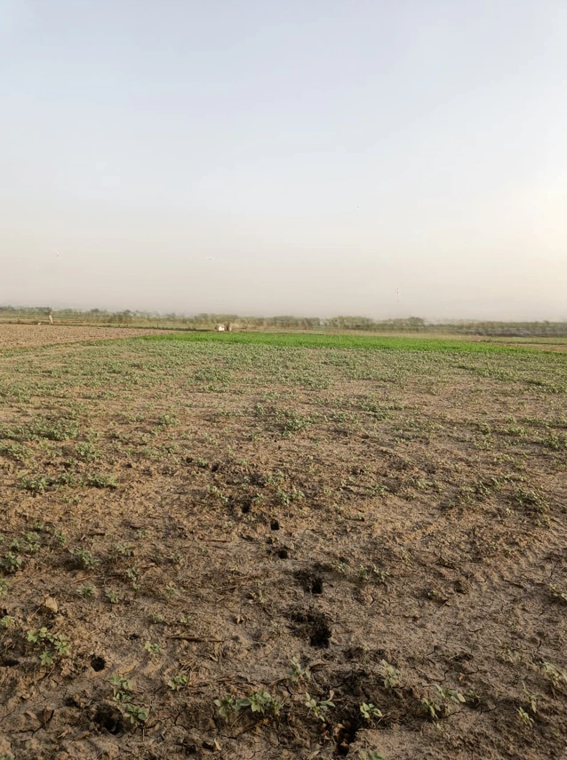 Jakhopur, Haryana 122103, India