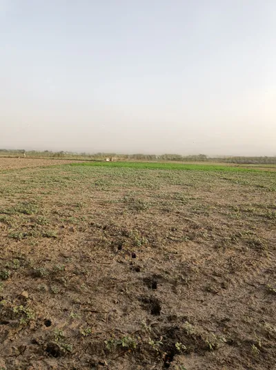 Jakhopur, Haryana 122103, India preview 2
