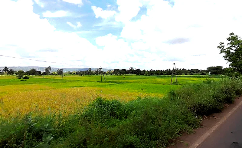 Sambra Rd, Mutaga, Karnataka, India preview 3