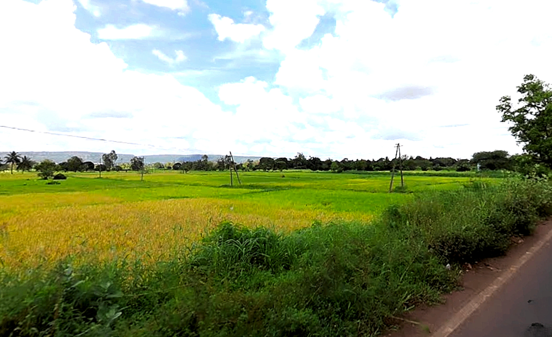 Sambra Rd, Mutaga, Karnataka, India