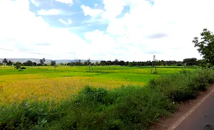 Sambra Rd, Mutaga, Karnataka, India preview 3