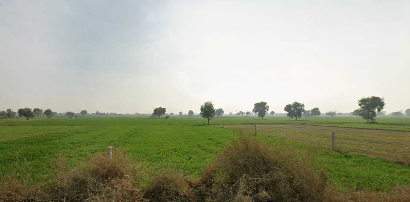 Mangali, Haryana 125005, India