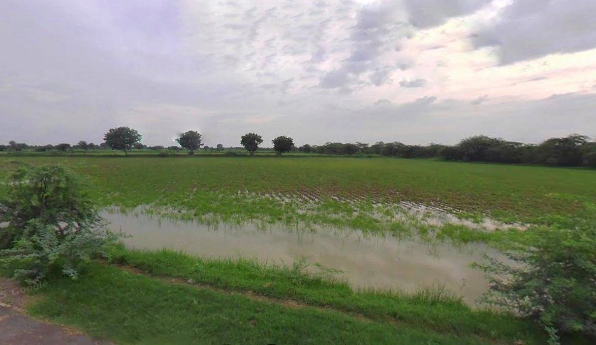 Matehana, Madhya Pradesh 485113, India