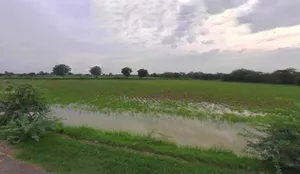 Matehana, Madhya Pradesh 485113, India preview 3