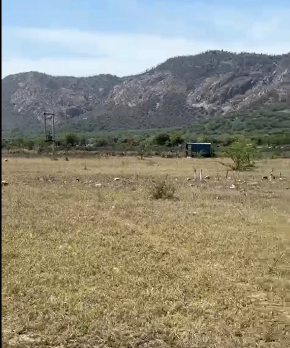 HFWC+W9 Rundh Sundarwas, Rajasthan, India