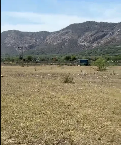 HFWC+W9 Rundh Sundarwas, Rajasthan, India preview 2