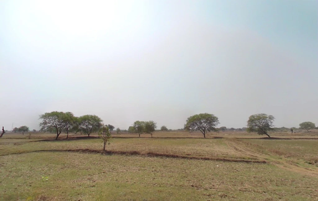 Gobaripat, Chhattisgarh 495113, India