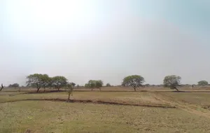 Gobaripat, Chhattisgarh 495113, India preview 3