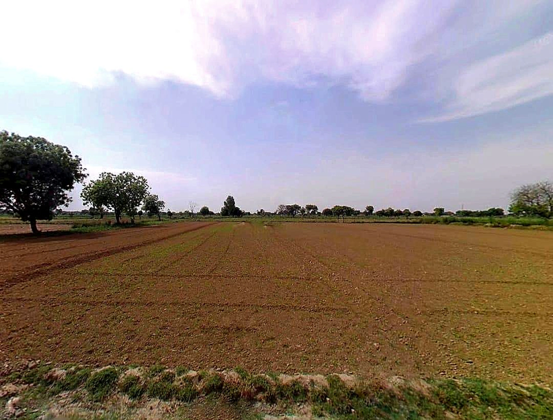 CRJX+8R5, Badnaura, Uttar Pradesh 203001, India