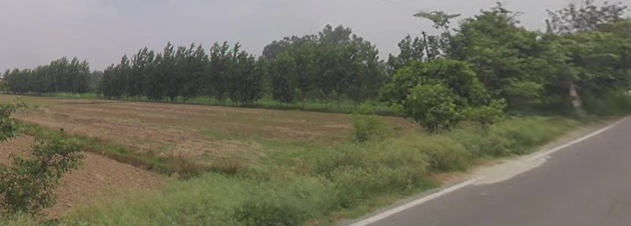 Moradabad Bypass Rd, Gannor Deya Mafi, Uttar Pradesh, India