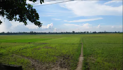 Gyaraspur, Madhya Pradesh 464331, India preview 2