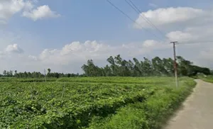 Faridpur, Uttar Pradesh 243503, India preview 3