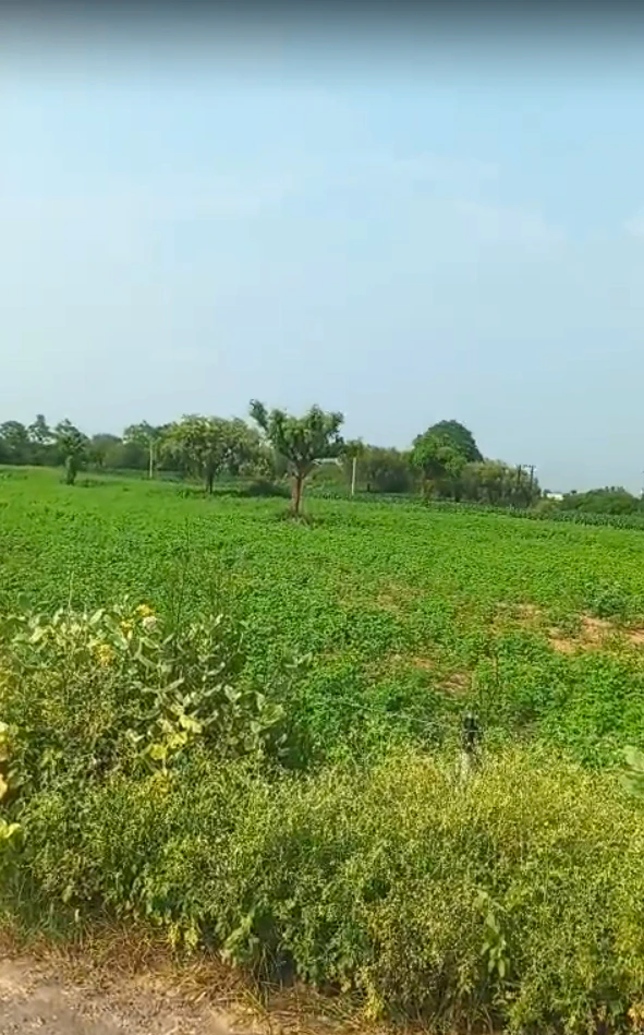8HGR+6GX, Jhunjhunu, Sultana Ka Bas, Narhar, Rajasthan 333035, India