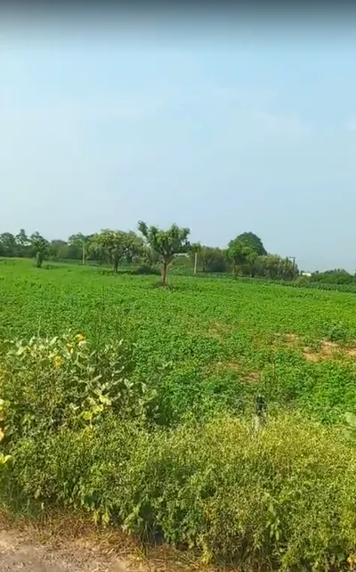 8HGR+6GX, Jhunjhunu, Sultana Ka Bas, Narhar, Rajasthan 333035, India preview 2