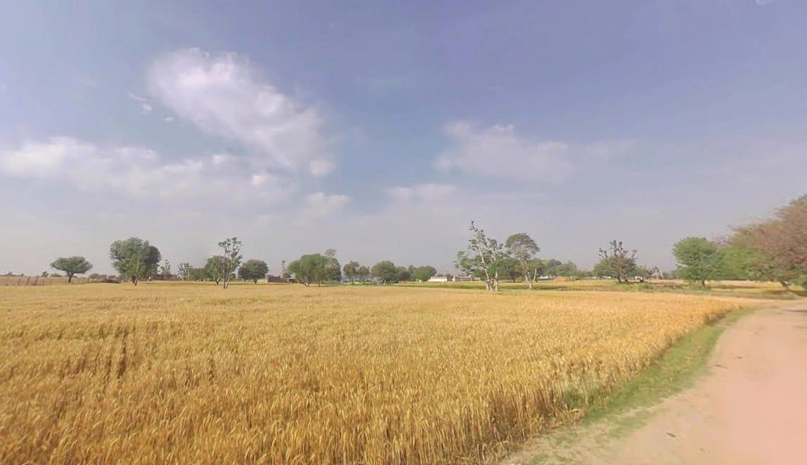 8FX2+FRG, Abhawas, Rajasthan, India