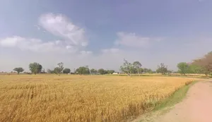 8FX2+FRG, Abhawas, Rajasthan, India preview 2