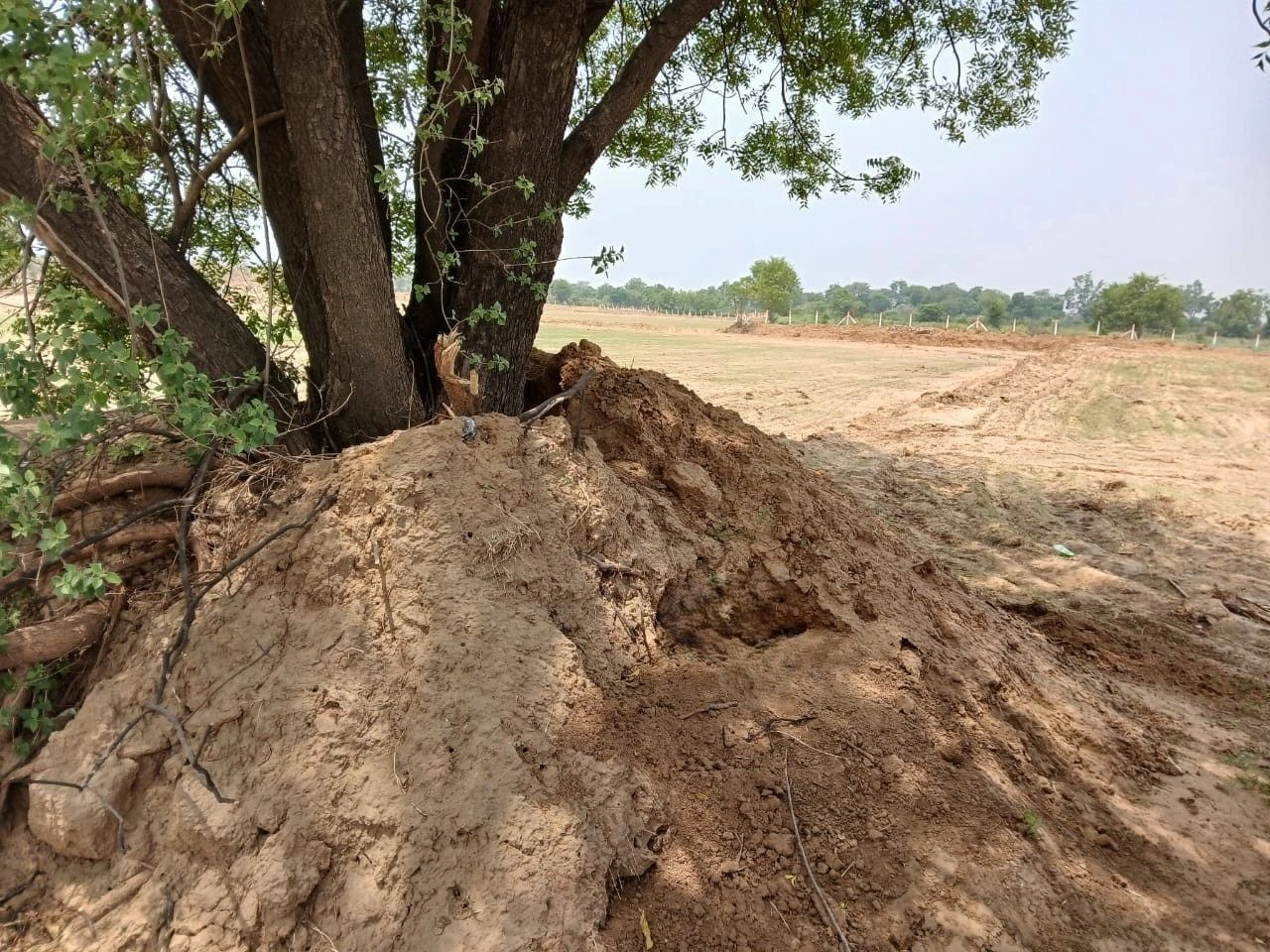Khobri, Haryana, India preview 2