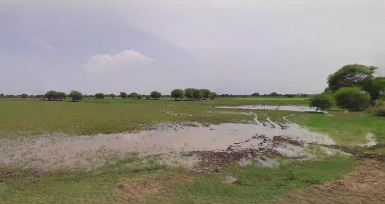 Gharsana, Rajasthan 335711, India