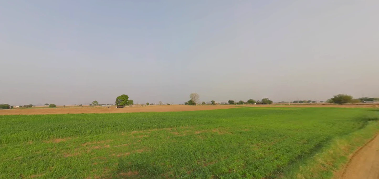 Ranika Singhola, Haryana 122103, India