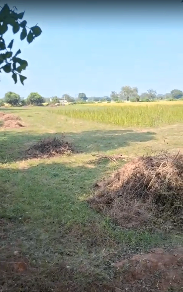 HQXH+53 Demol, Anand, Gujarat, India - Photo 2