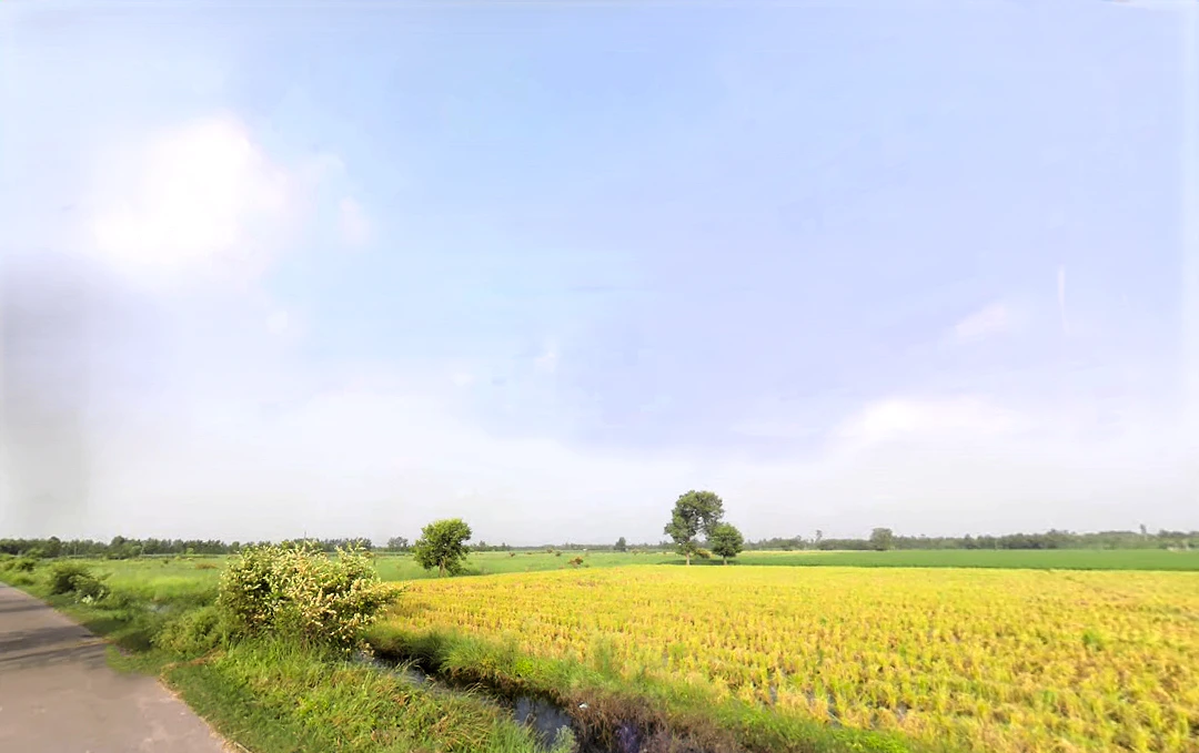 Nakur, Uttar Pradesh 247342, India