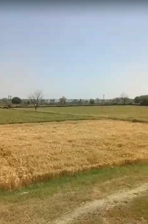 Ratanpur Ki Sarai, Rajasthan 313601, India