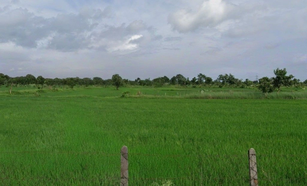 Chhuikhadan, Chhattisgarh 491441, India