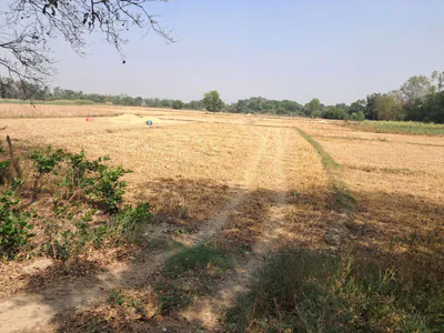 P52G+X2G, Birauli, Uttar Pradesh 224201, India preview 3