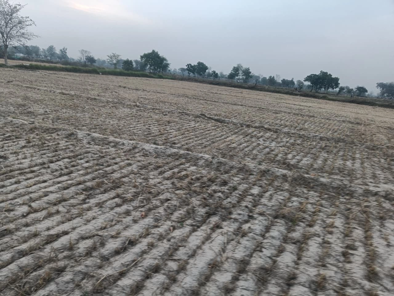 CQVH+5HP, Khunteta Khurd, Rajasthan 301001, India