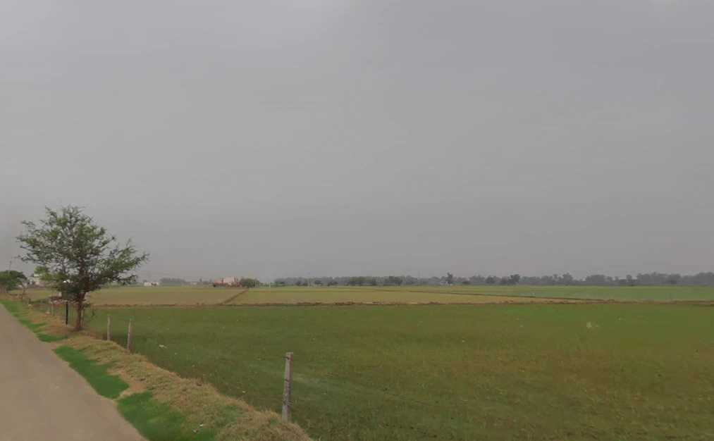 Gurana, Haryana 125005, India