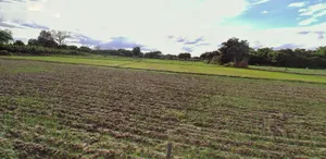 Barnagar, Madhya Pradesh 456771, India preview 3