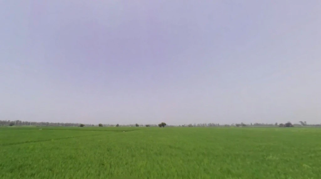 Rakshera, Haryana 132115, India