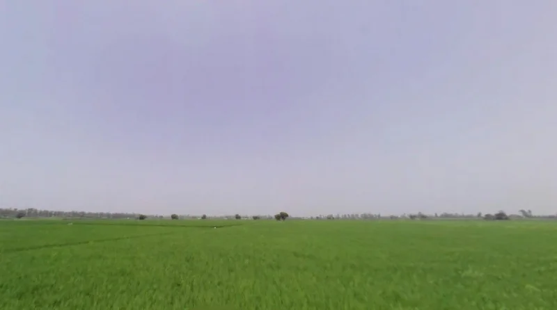 Rakshera, Haryana 132115, India preview 3