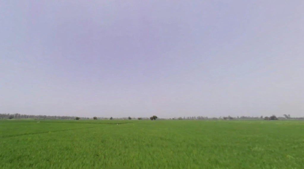 Rakshera, Haryana 132115, India