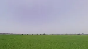 Rakshera, Haryana 132115, India preview 3