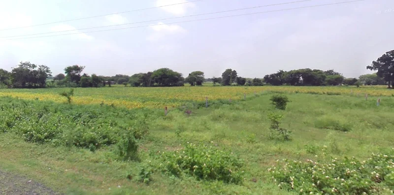 Deora Khedi, Madhya Pradesh 453115, India preview 3