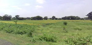 Deora Khedi, Madhya Pradesh 453115, India preview 3