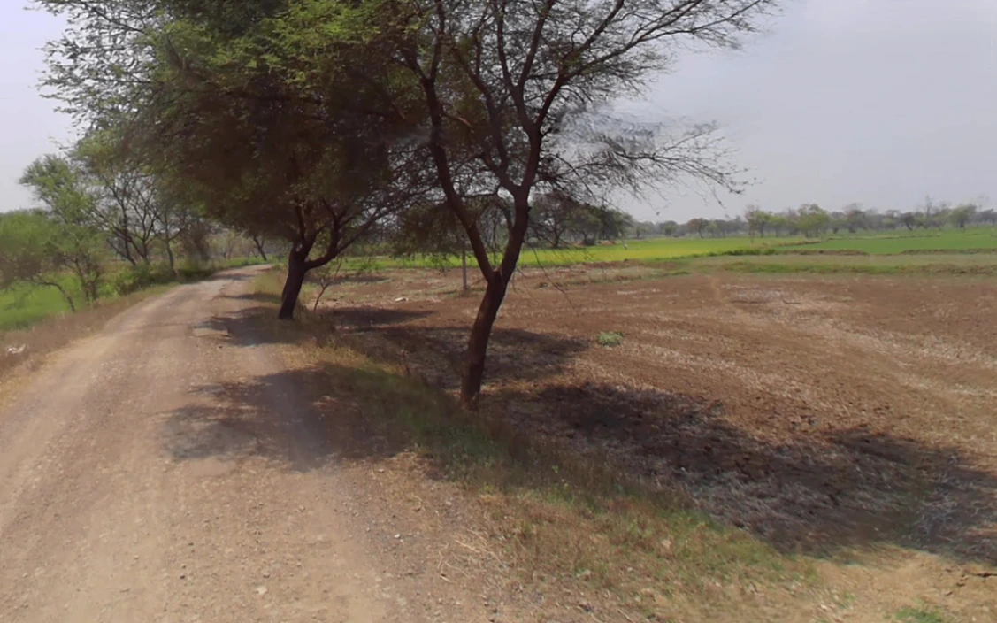 Gota, Chhattisgarh, India