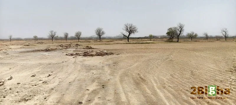 Bilothi, Uttar Pradesh 281401, India preview 3