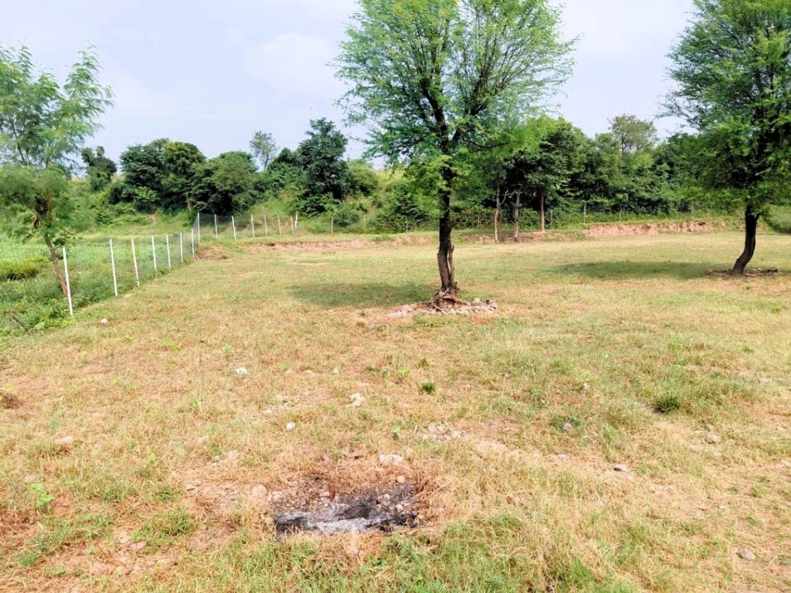 Sector 4,5, PKUC, Pinjore, Bhogpur, Haryana 134104, India