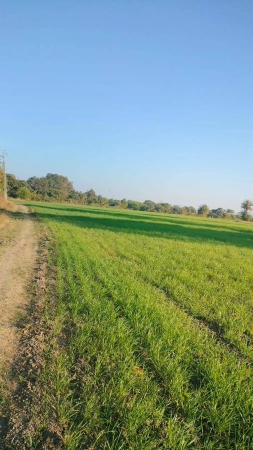 Bakaniya, Madhya Pradesh 462030, India