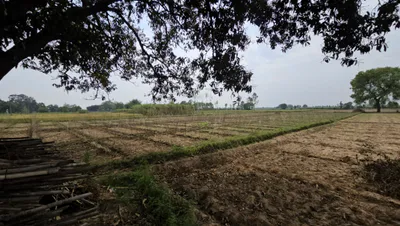 Gharaunda, Haryana 132114, India preview 3
