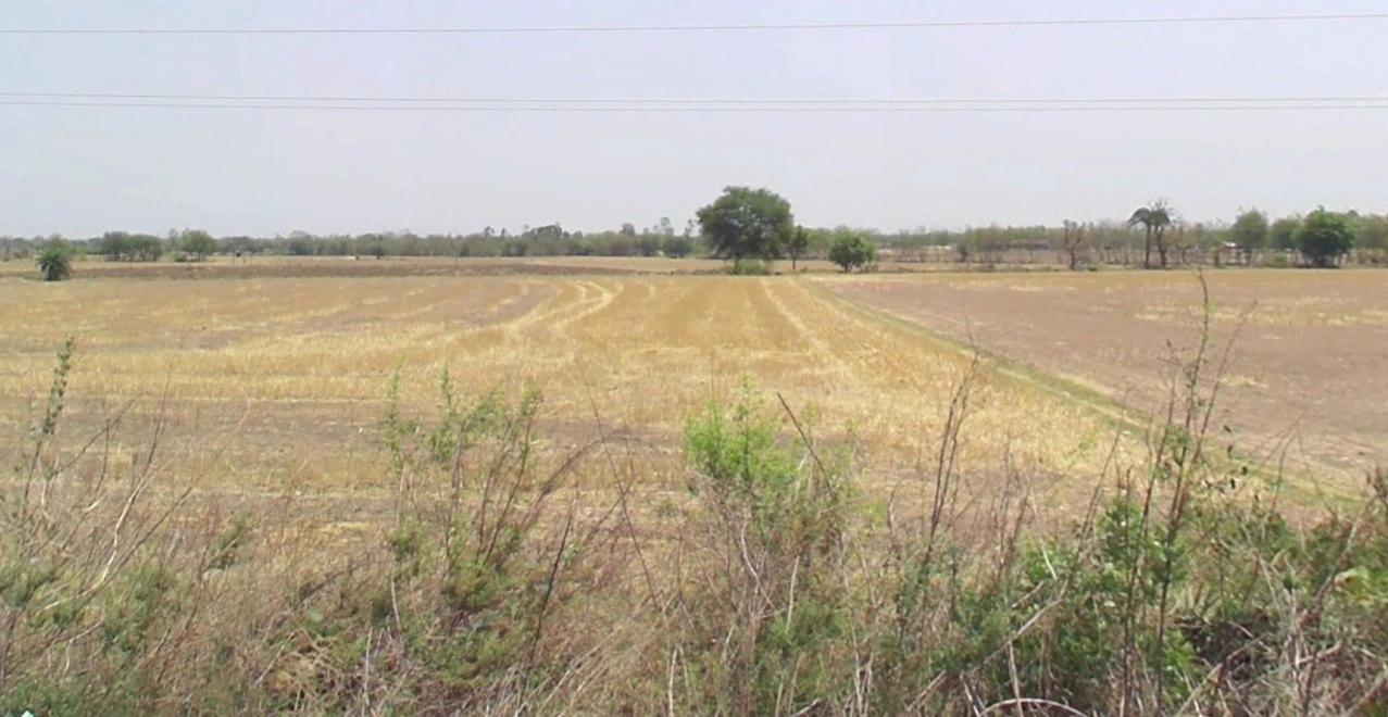 Khamaria, Jabalpur, Madhya Pradesh 482005, India