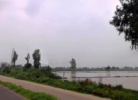 WW27+W9P, Samana Bahu, Haryana 132117, India preview 3