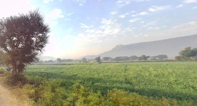 Siliserh Lake palace, GG8M+29P, Paitpur, Rajasthan 301001, India preview 3