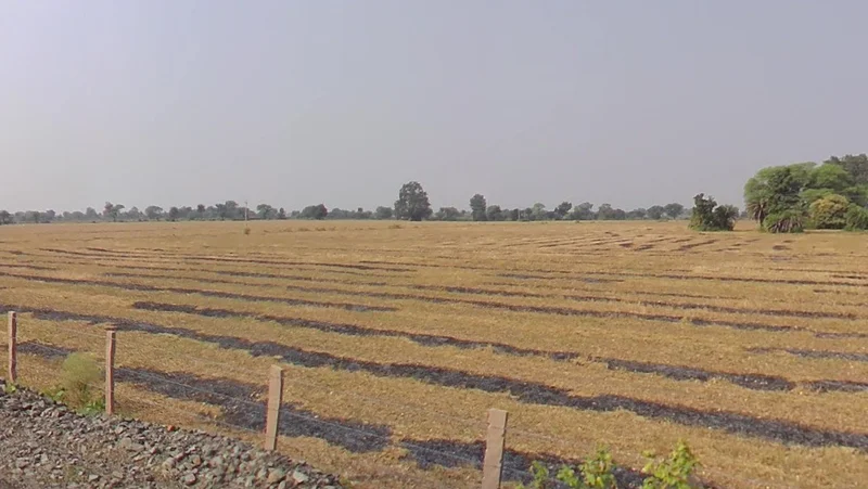 Phanda Kala, Madhya Pradesh 462030, India preview 3