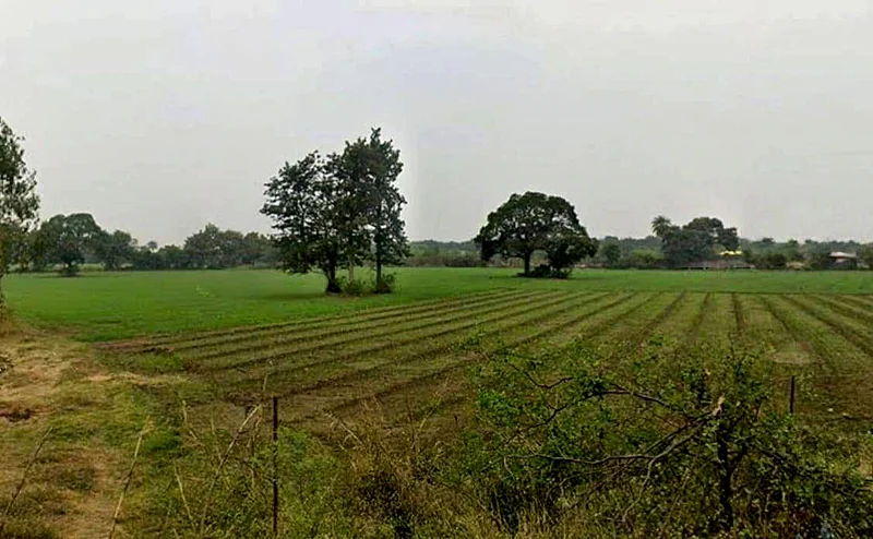 Ghasipura, Madhya Pradesh 462038, India preview 3